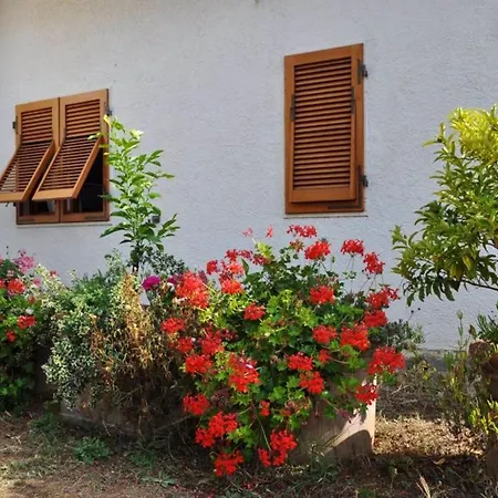 Charming House In + Garden Nyaraló *
